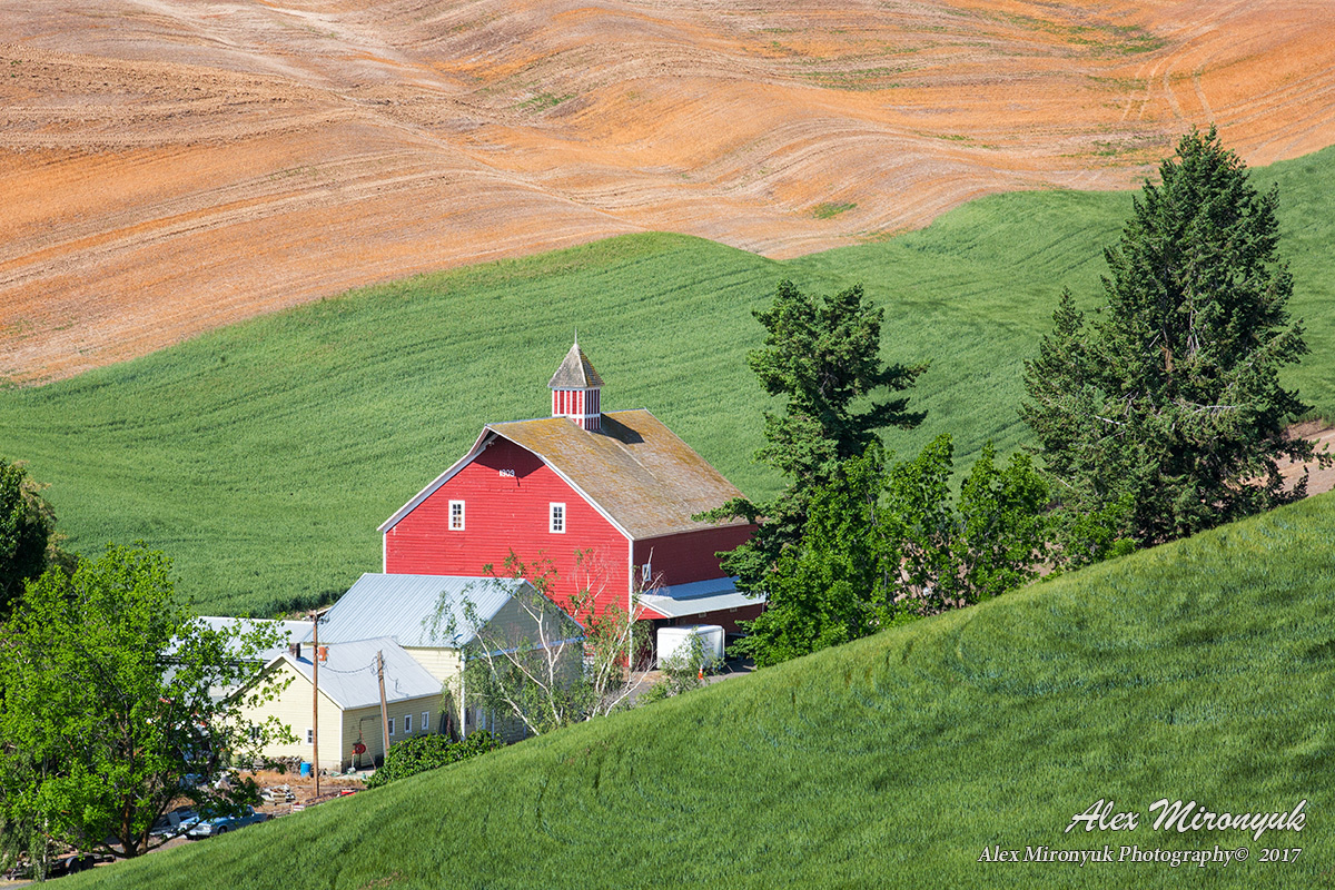 Unlimited Palouse. Alex Mironyuk Photography