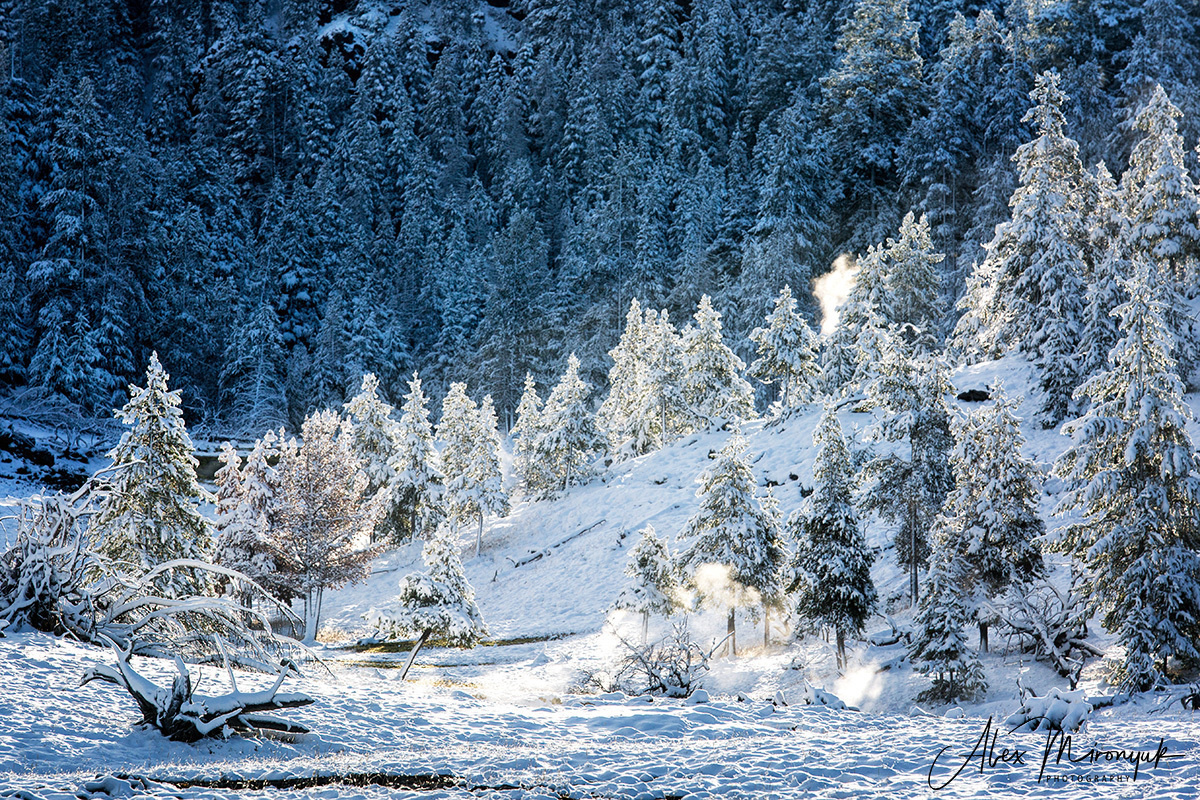 Фото - тур  “Удивительный Северо-Запад США”. Alex Mironyuk Photography