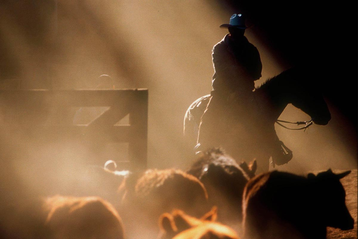 Corporate Photography Case Studies Prague | Events, Headshots & Industrial Work