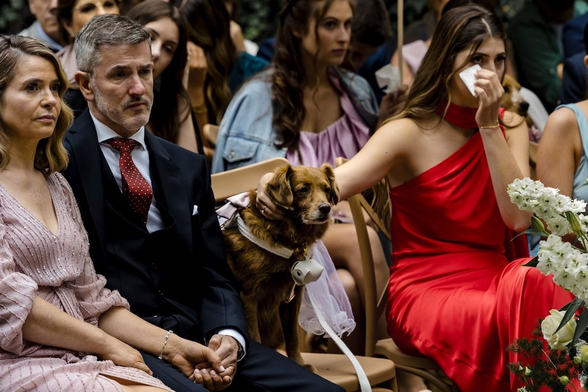 Como Escolher um Fotógrafo de Casamento | Nuno Lopes