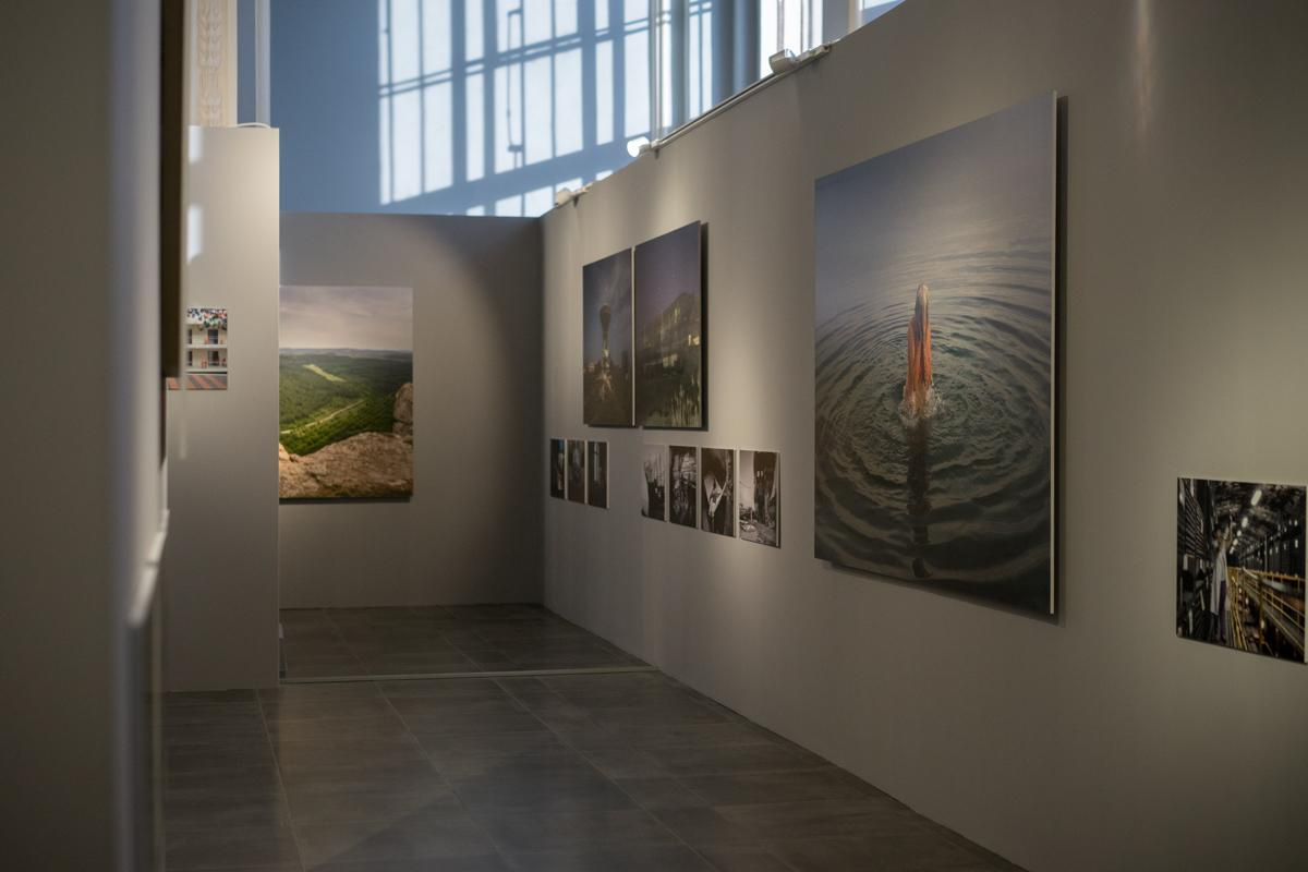 Exhibitions. Stanislava Novgorodtseva — Photographer | Visual Artist | Educator