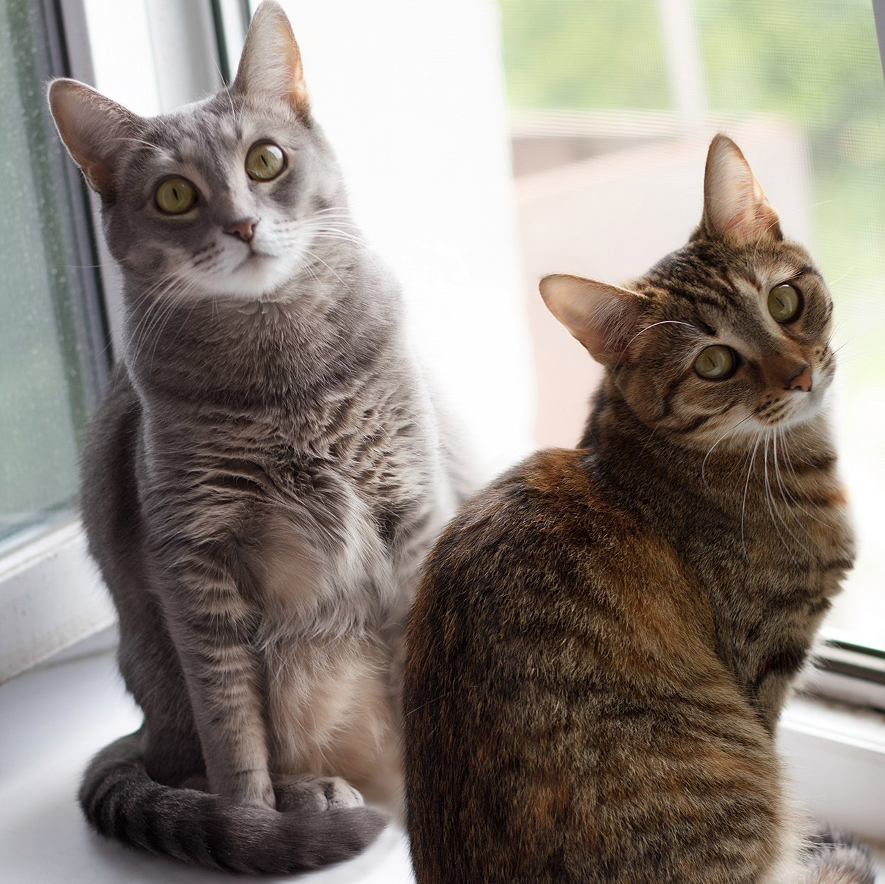 Обо мне. Главная