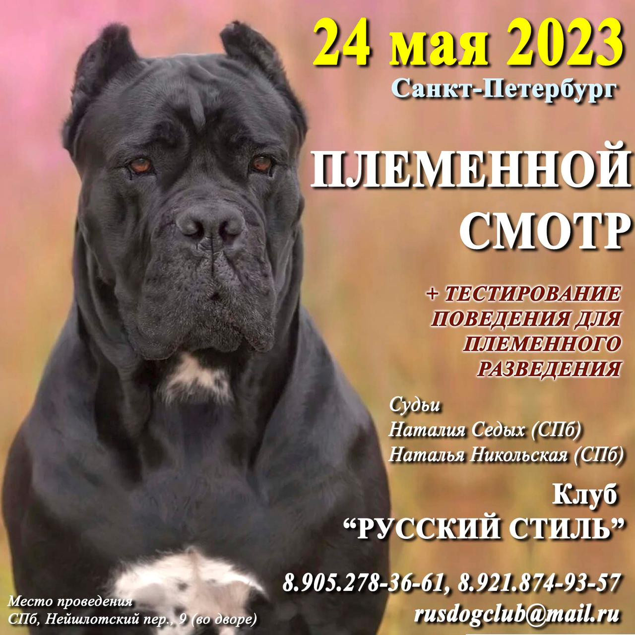 Племенной смотр 24.05.2023. Кинологический клуб РКФ РФСС СЕНСАЦИЯ