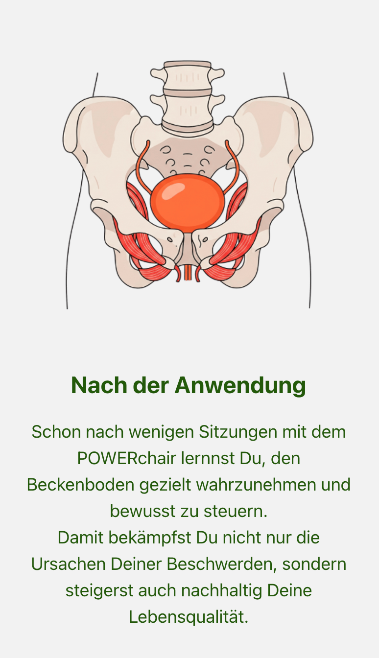 Für Männer. Gesundheitszentrum Lena Nozar — PowerChair Behandlung in Werne & NRW