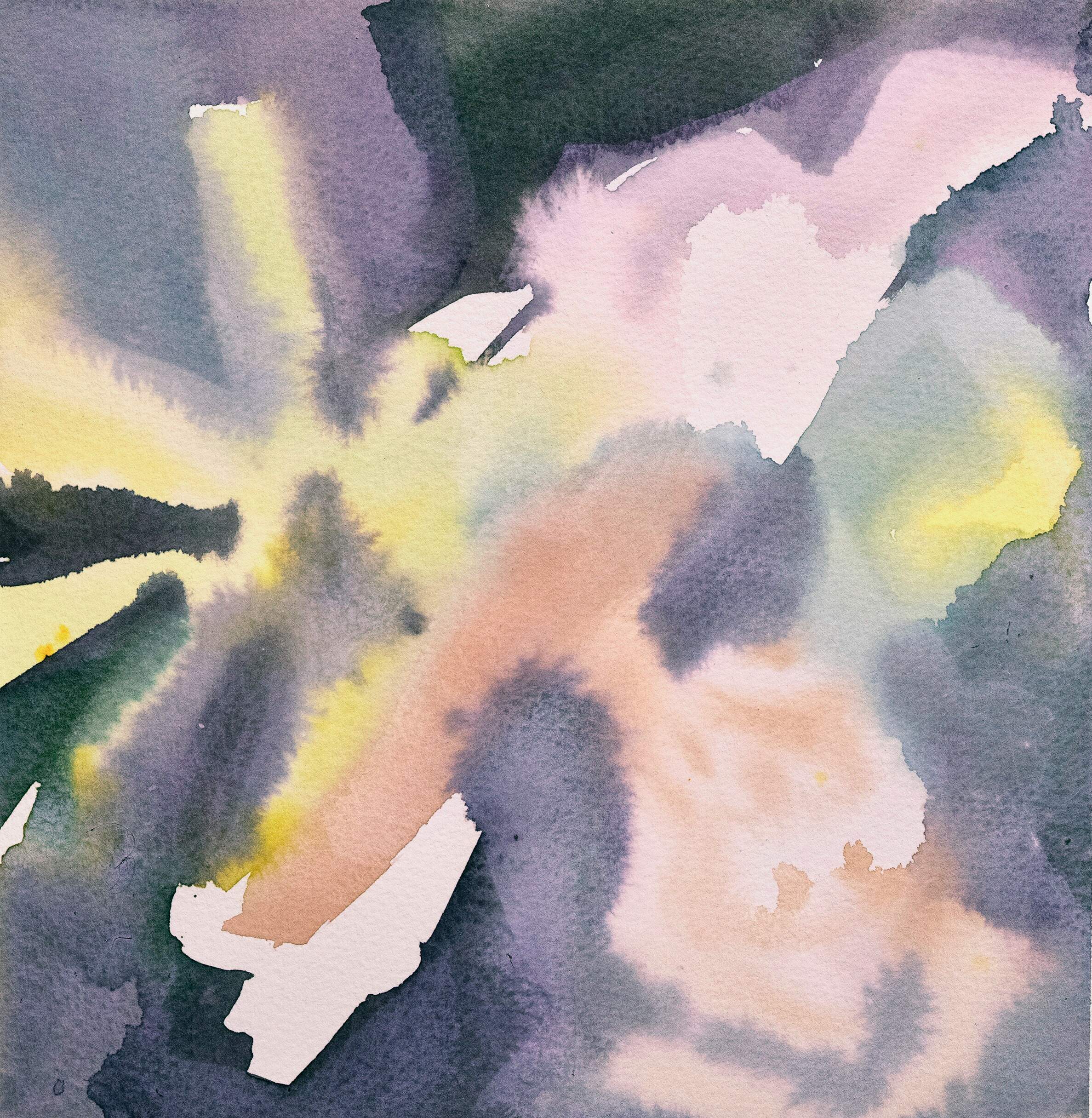 Частный парадайс | 2025. Alina Kugush