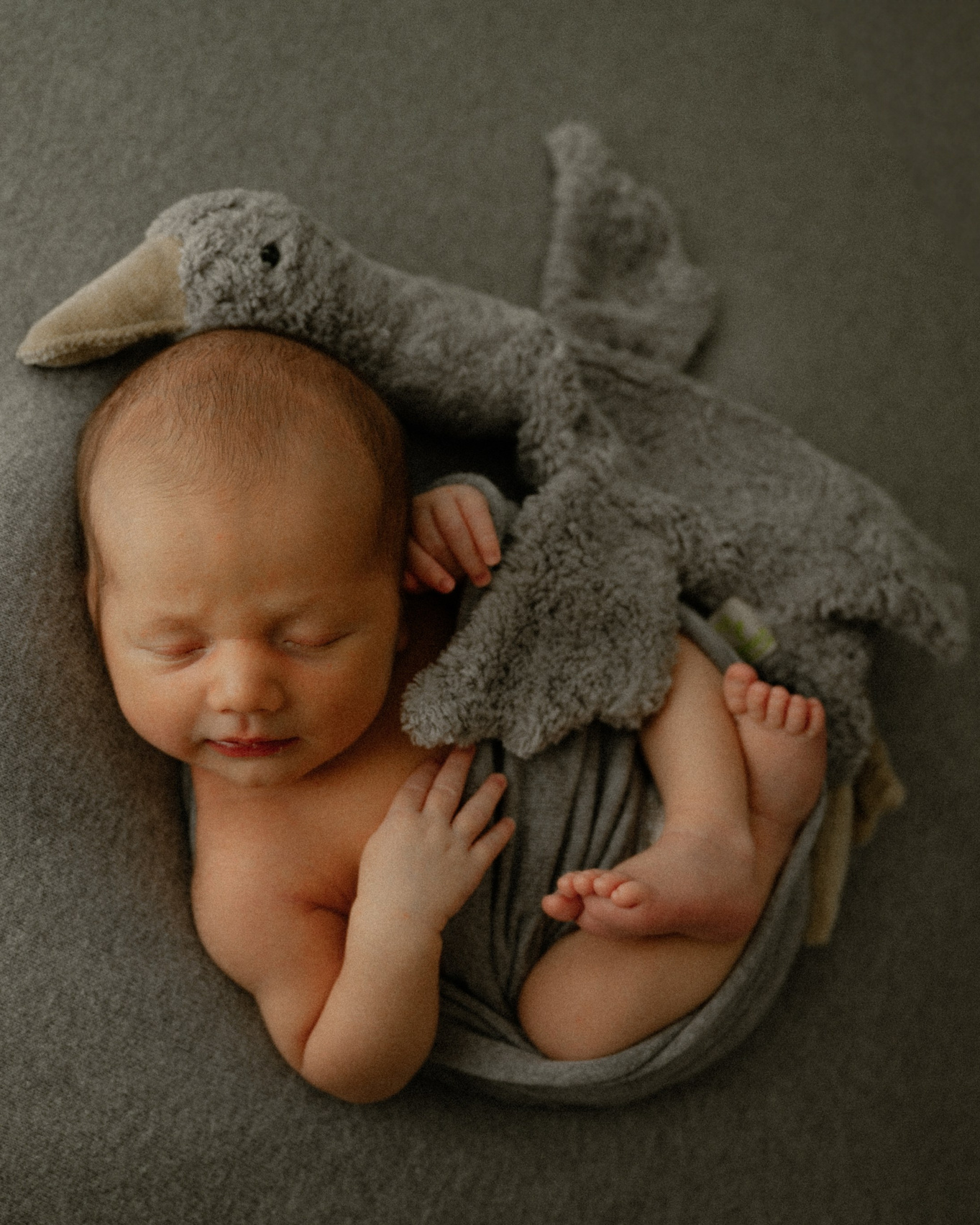 PRICES. Newborn, Family, Wedding photographer Copenhagen Anastasiia Sevriukova