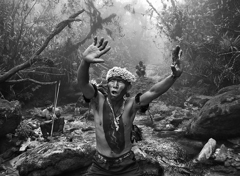 © Carola Allemandi / Amazonia Salgado