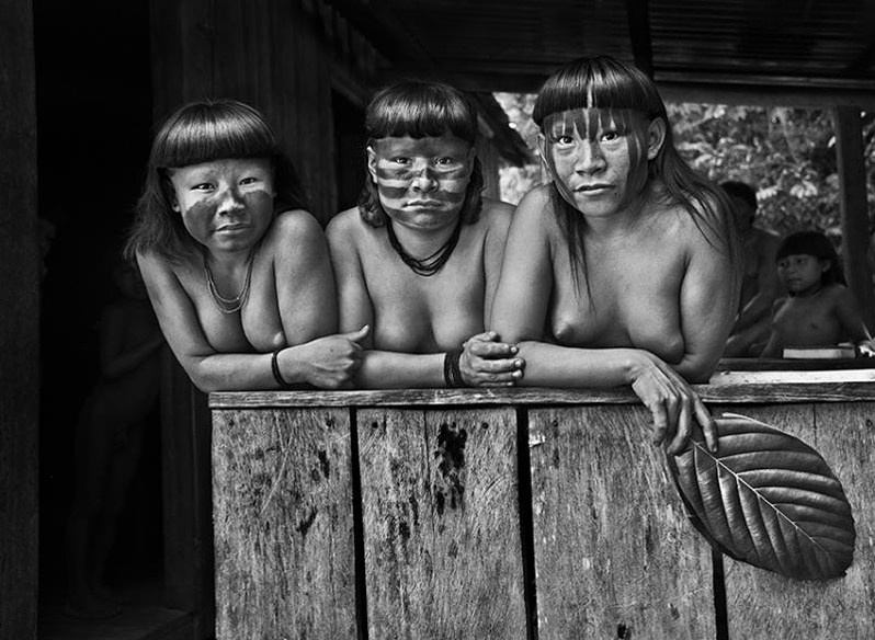 © Carola Allemandi / Amazonia Salgado