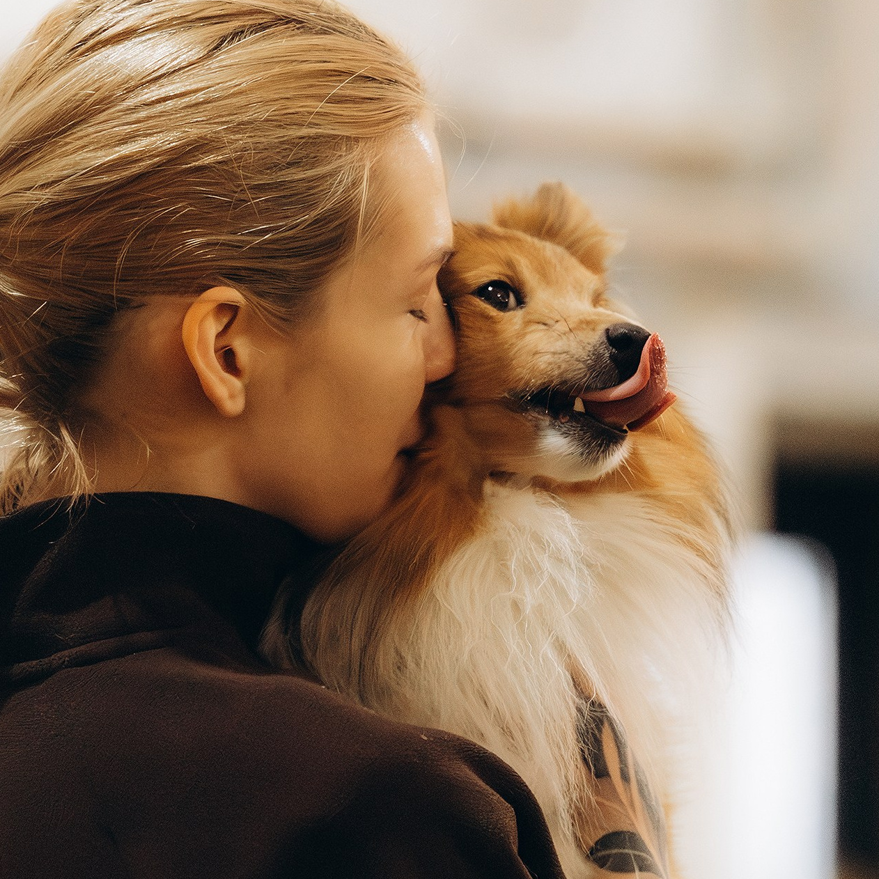 Зйомка з аджиліті. Фотограф-анімаліст Київ