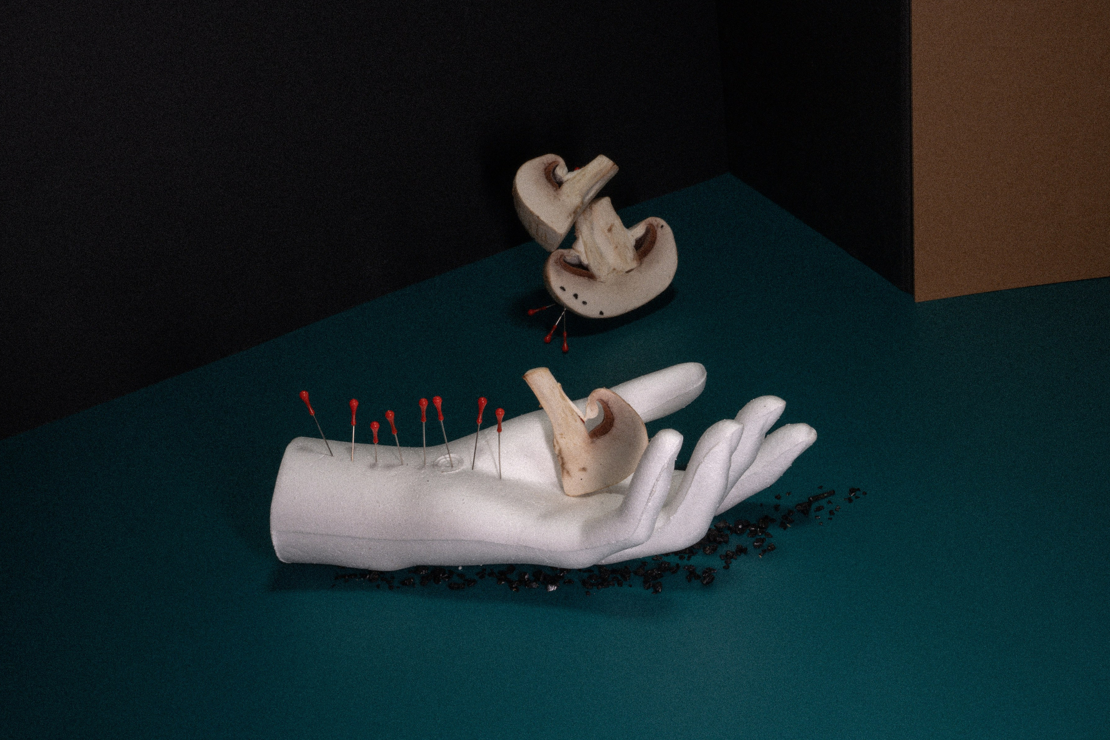 Factory (2023). Ant | photo