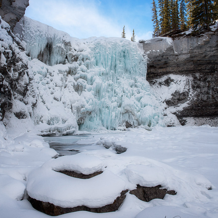 Canadian Winter Wonderland. Pet, Senior, Landscape, portrait studio, photographer in Miami and Sou