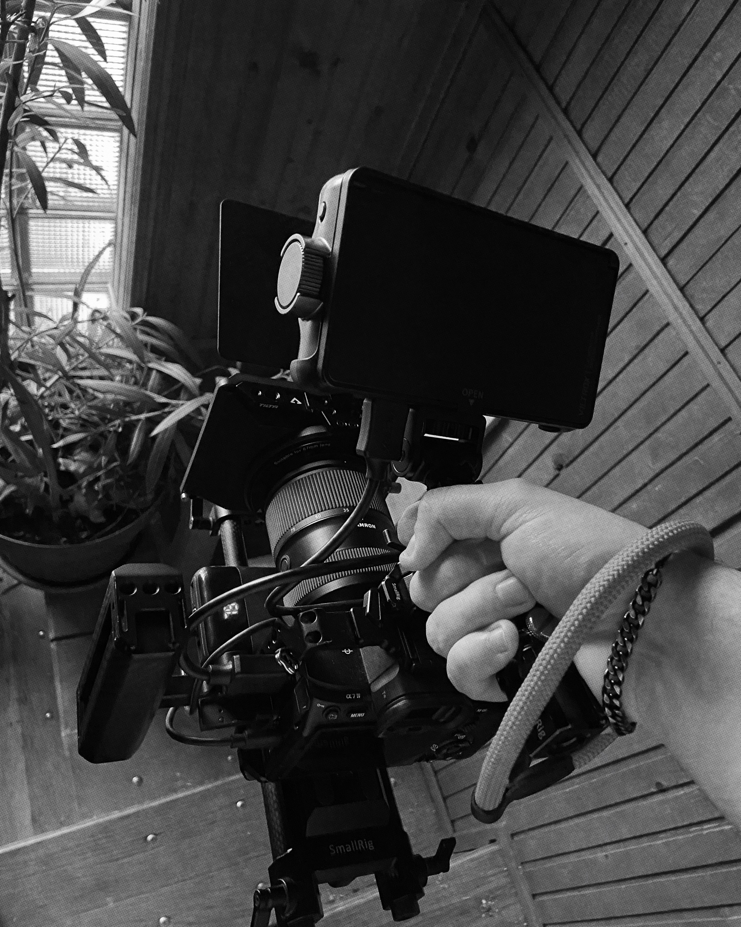 Sima.jpg | Fotograf i videograf iz Zrenjanina i Novog Sada | Venčanja, portreti, događaji i komercijalna fotografija