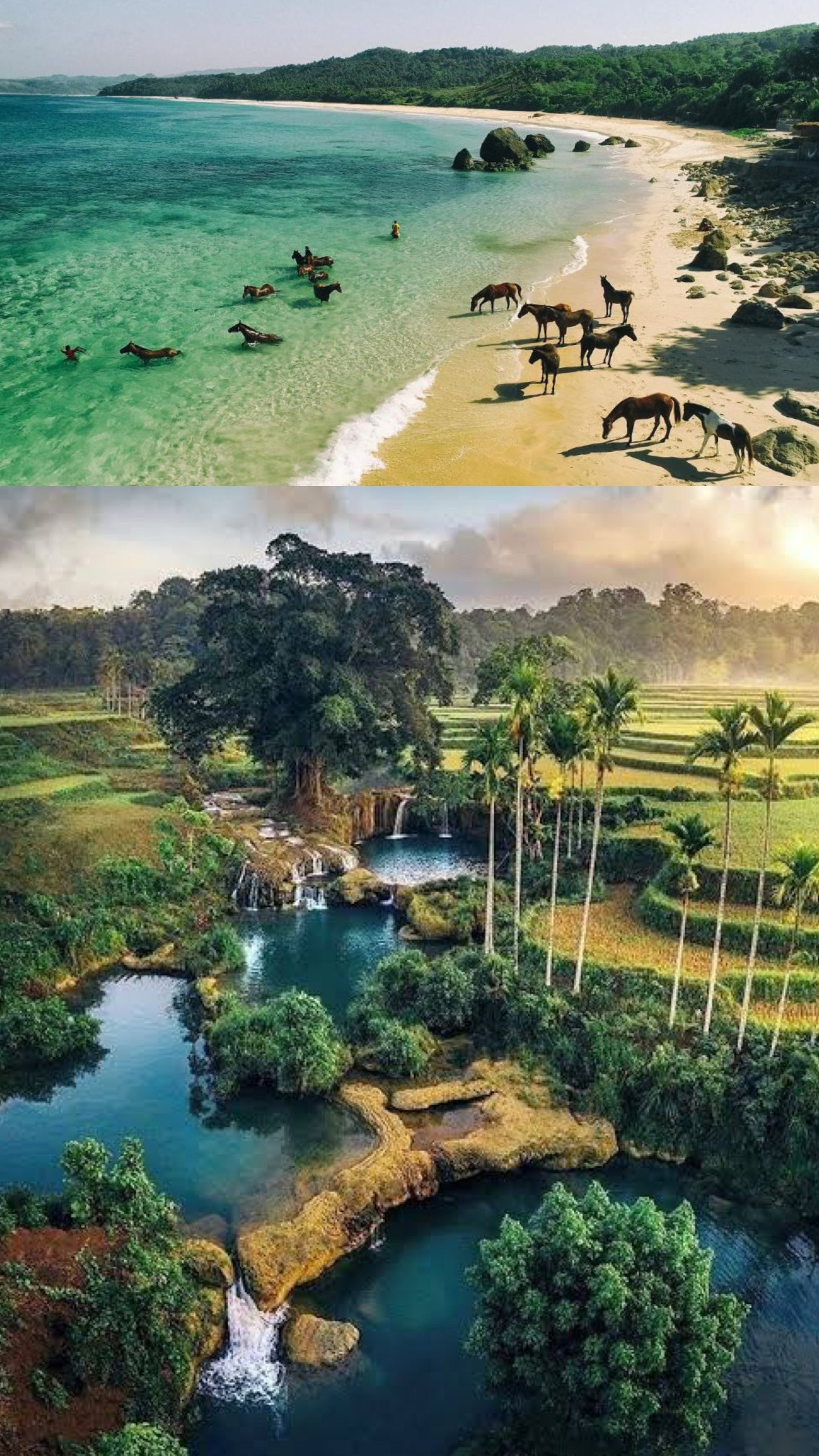 Тур на Сумбу. Individual and couple Photographer in Bali — Bali Dream Photo