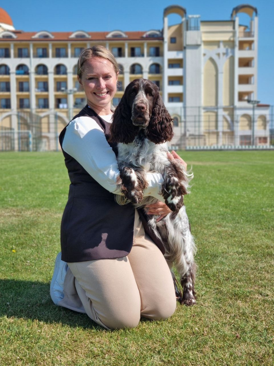 LORDSETT CASABLANKA english springer spaniel
