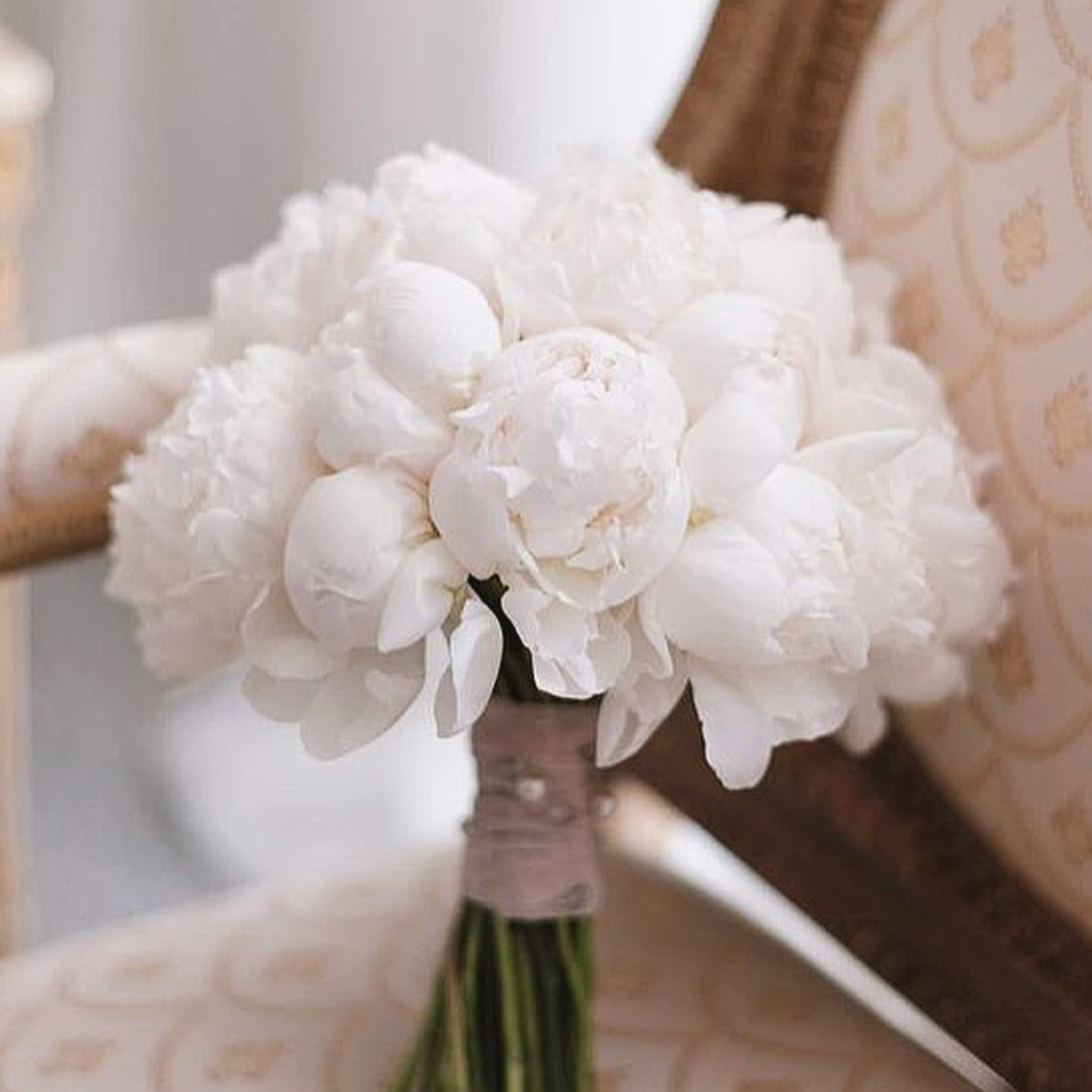 Services. Wedding photographer in Europe