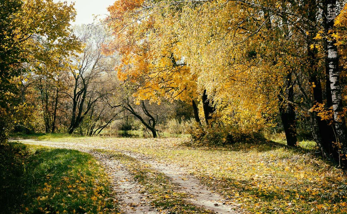 «ОСТАВЛЕННЫЙ» — город Припять после аварии на Чернобыле. Фотограф, коллекционер винтажных открыток и создатель историй на пересечении прошлого и личного. Ирина Дайнакова