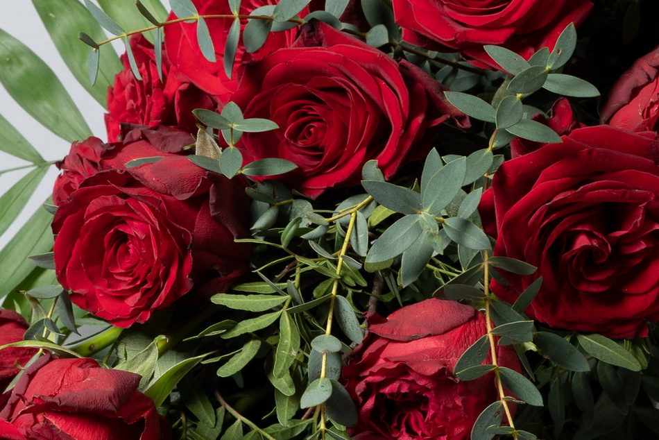 Sådan plejer du dine roser – Gode råd fra Akropolis BlomsterRoser kræver særlig pleje for at holde sig smukke og friske. Hos Akropolis Blomster giver vi dig nyttige råd om, hvordan du bedst plejer dine roser, herunder vanding, opbevaring og beskæring. Få de bedste tips til at forlænge din roses levetid.