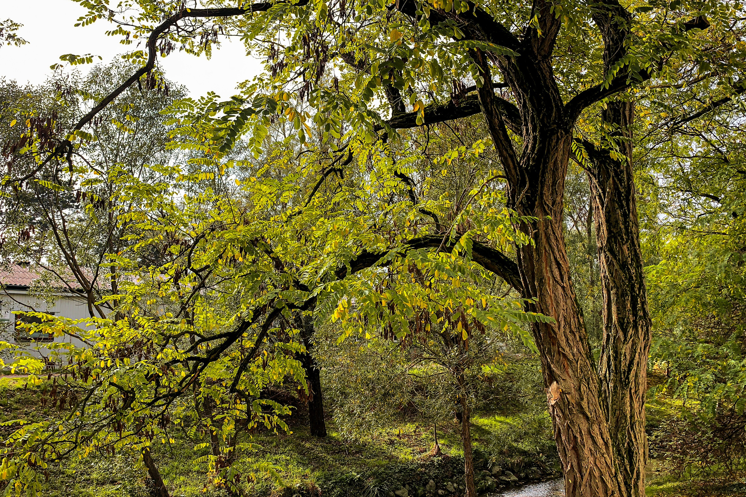 Hiking in Vienna | Wanderpass