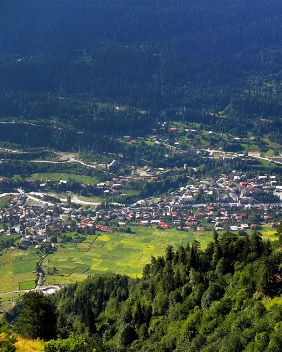 Gruzijas workshop plāns. Video filmēšana un veidošana ar telefonu, filmēšanas kursi
