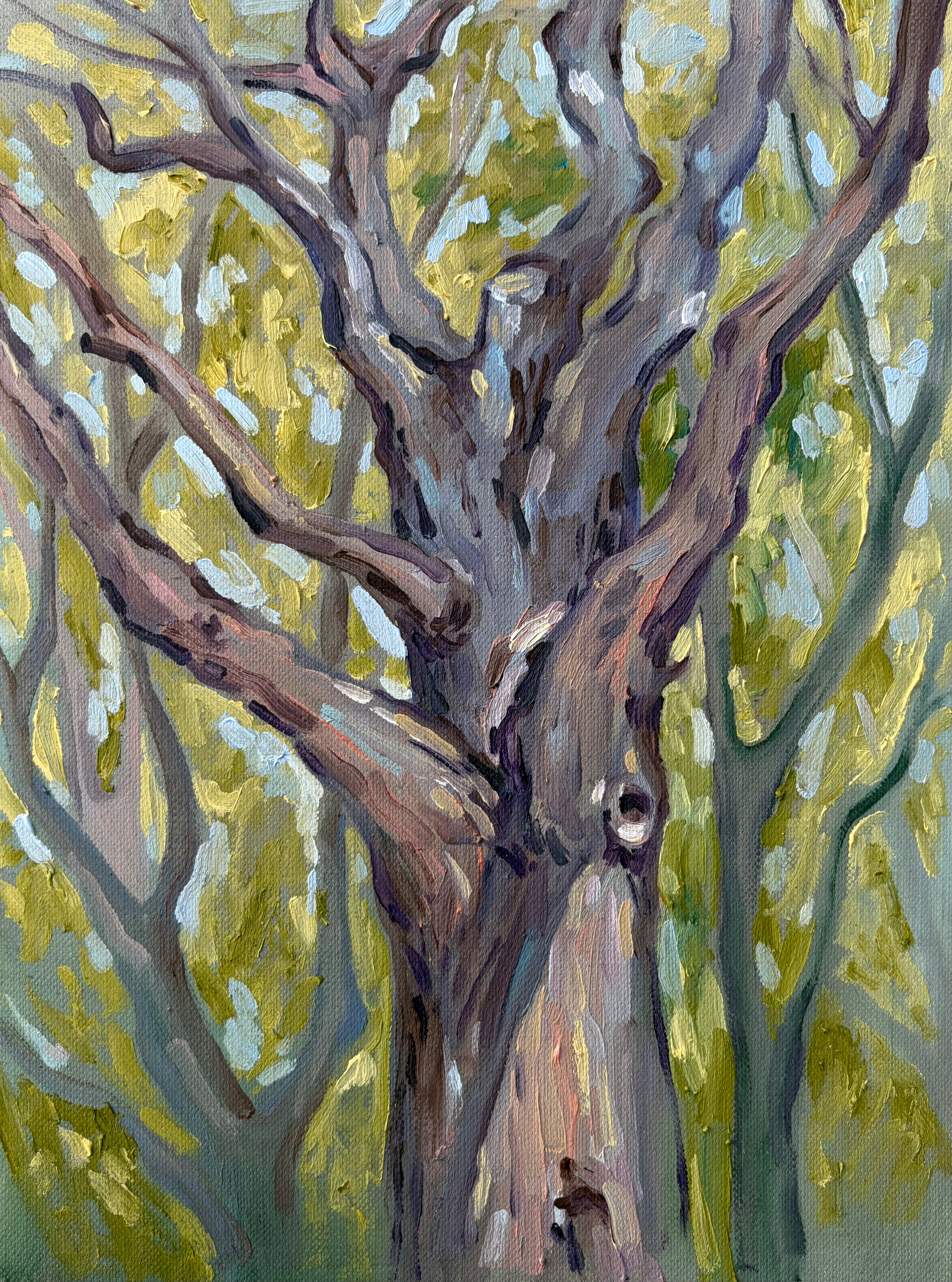 Galerie. Artiste Marina Semenova