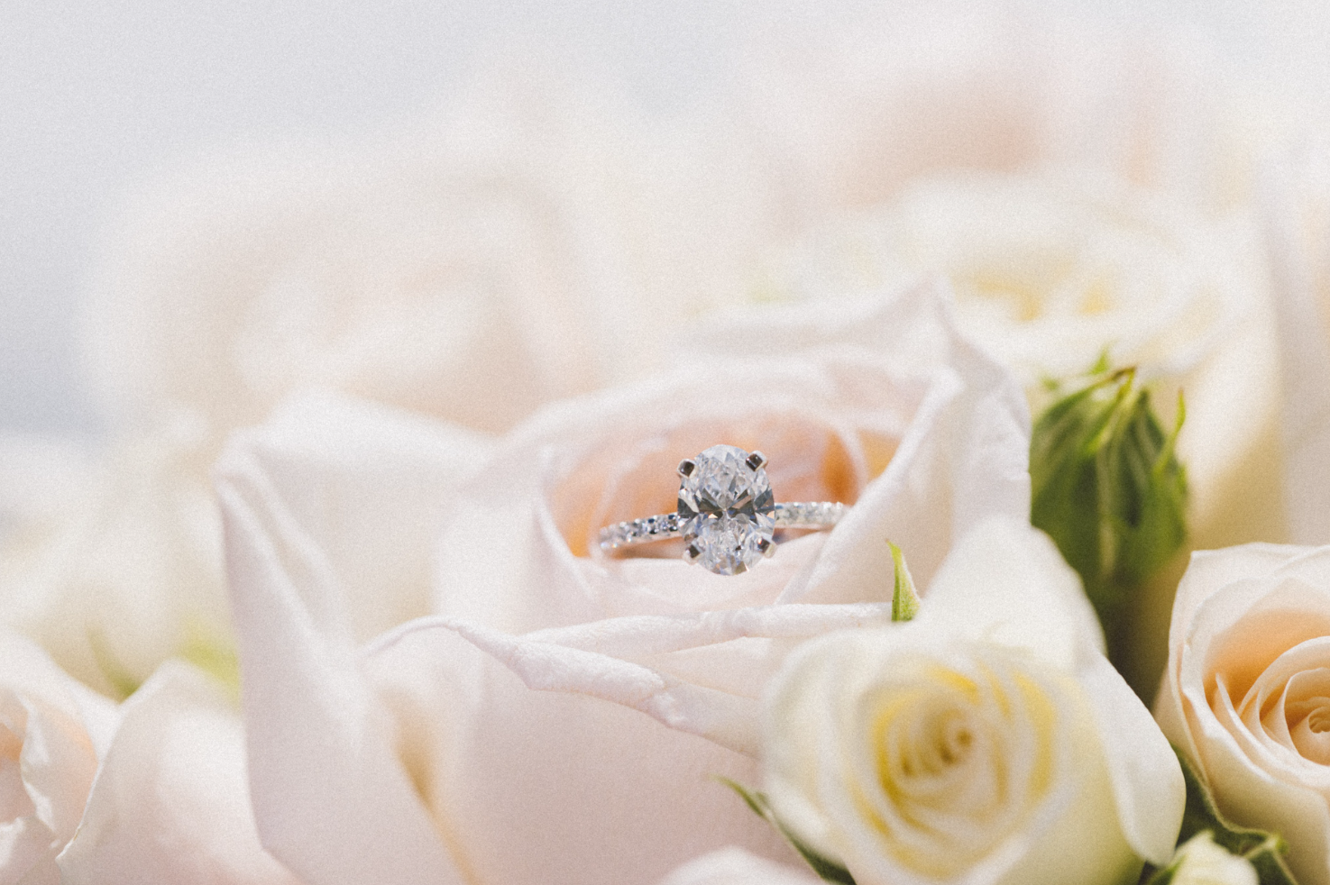 Packages & prices. Photographer Anna Curly | Weddings and Events in Dubai