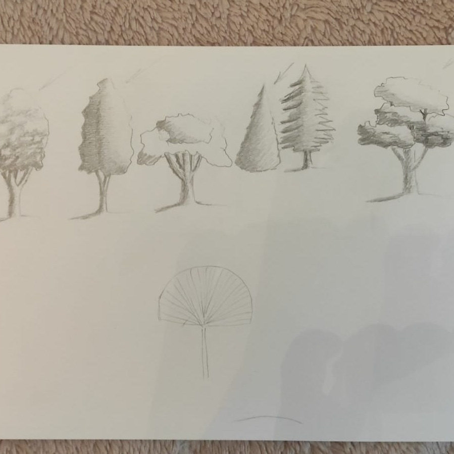 Работы учеников школы Лени Сморагдовой — рисование с нуля за 10 недель. Школа современного искусства Лени Сморагдовой