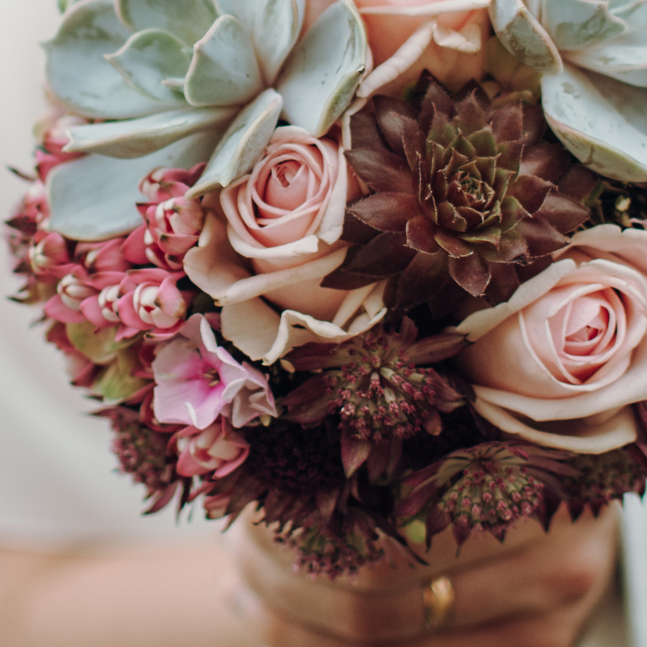 Portfolio. Juligraphy