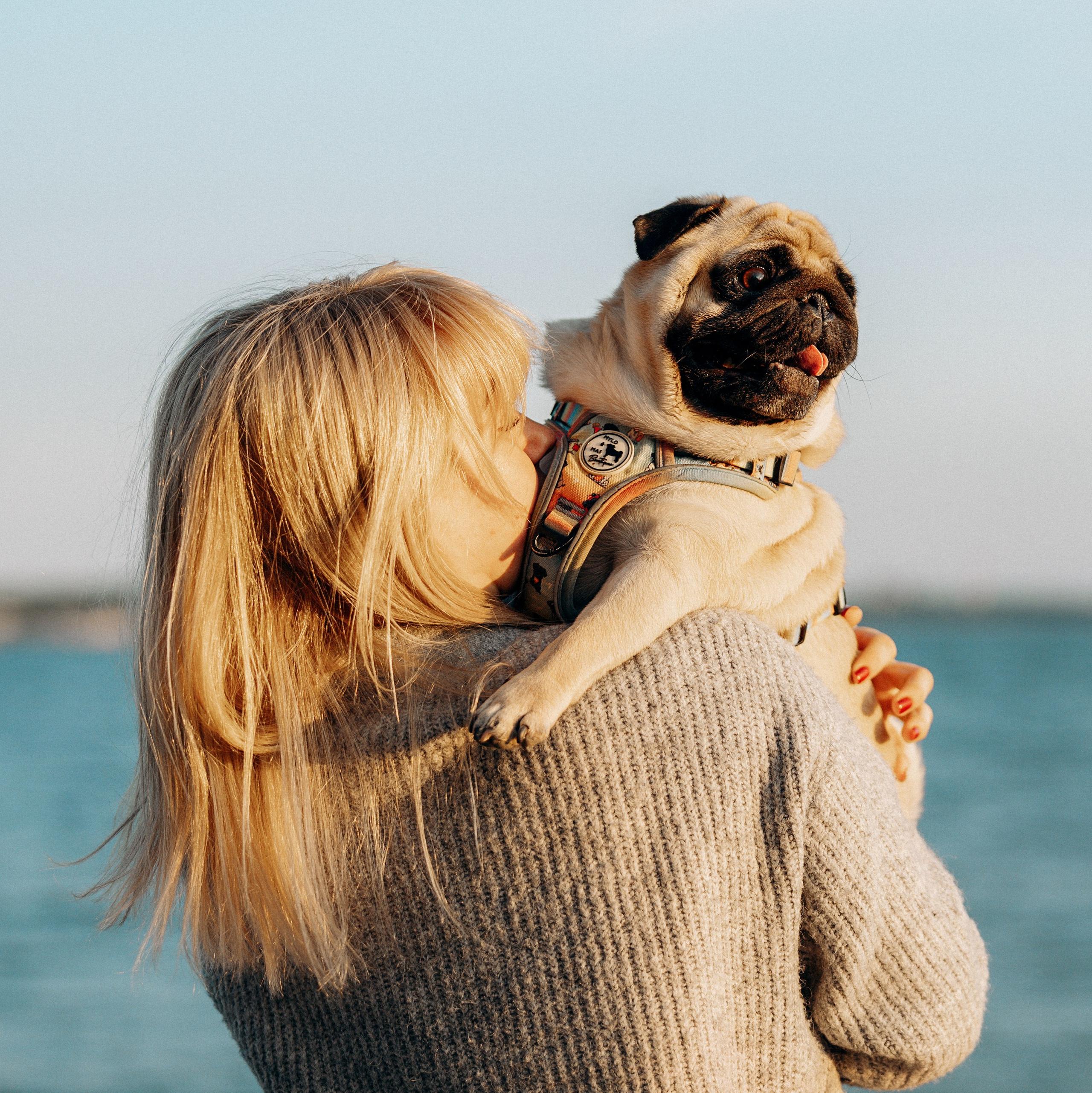 Kat Laisaar — Pet photographer in Tallinn