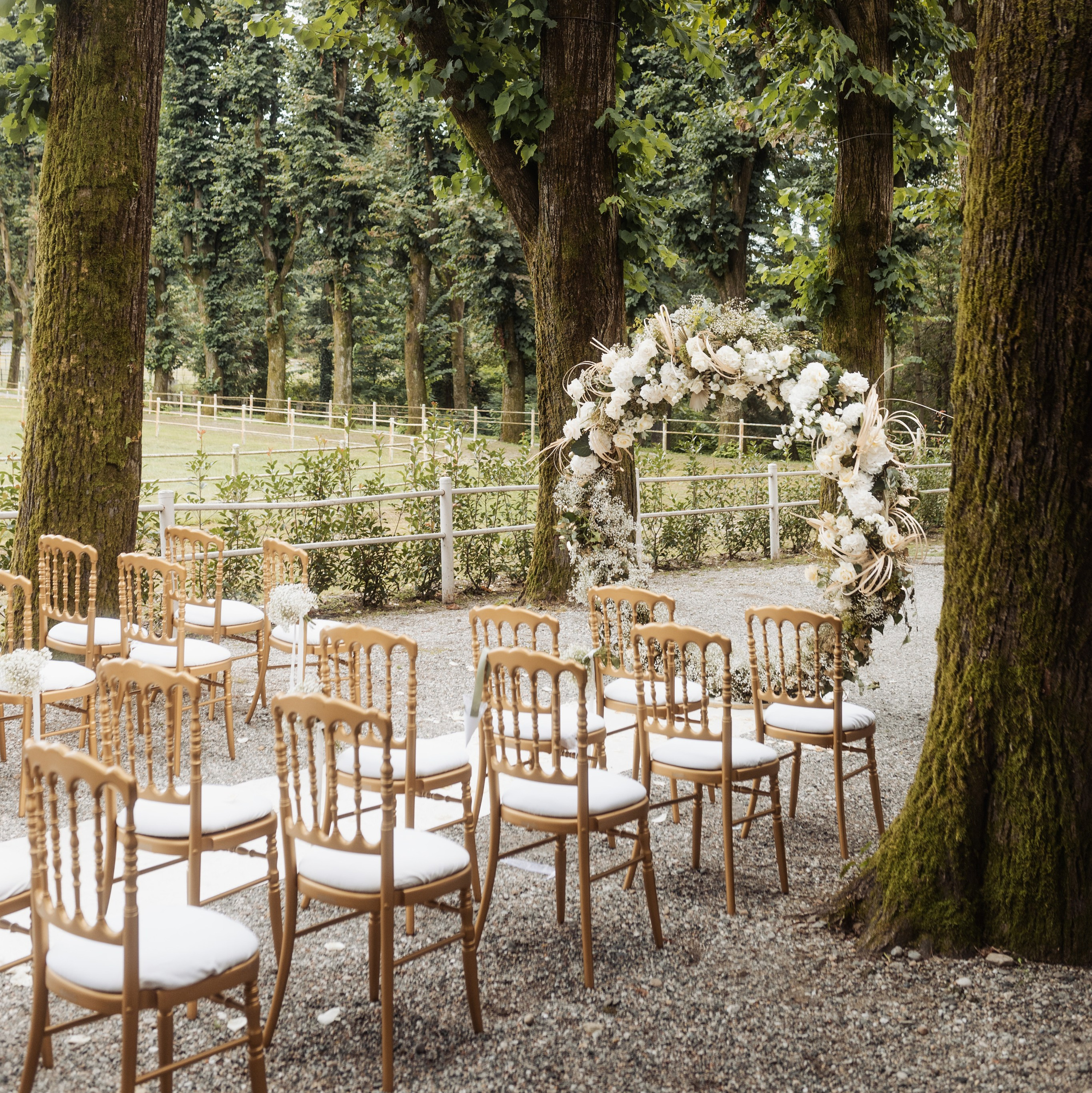 Venčanja bez dece - svetski trend ili glupost?. Wedding Photography And Film Studio Photo Factory