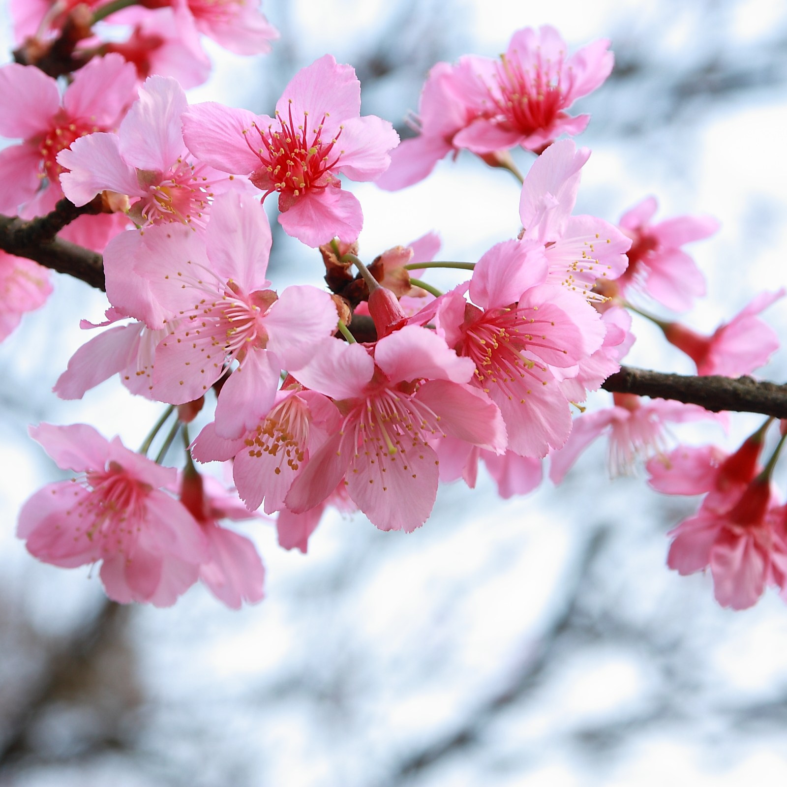 About me. WHYKERRYWHY Photography