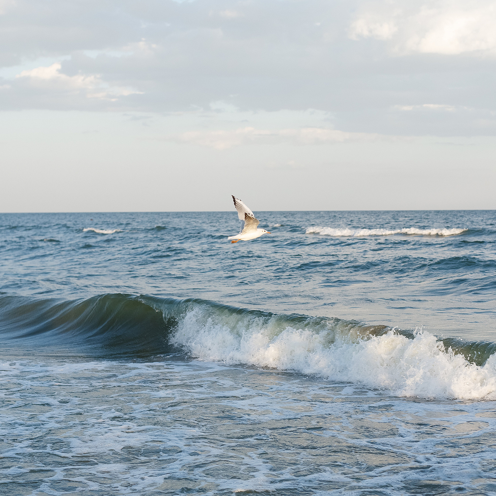 Family. Photographer Calgary