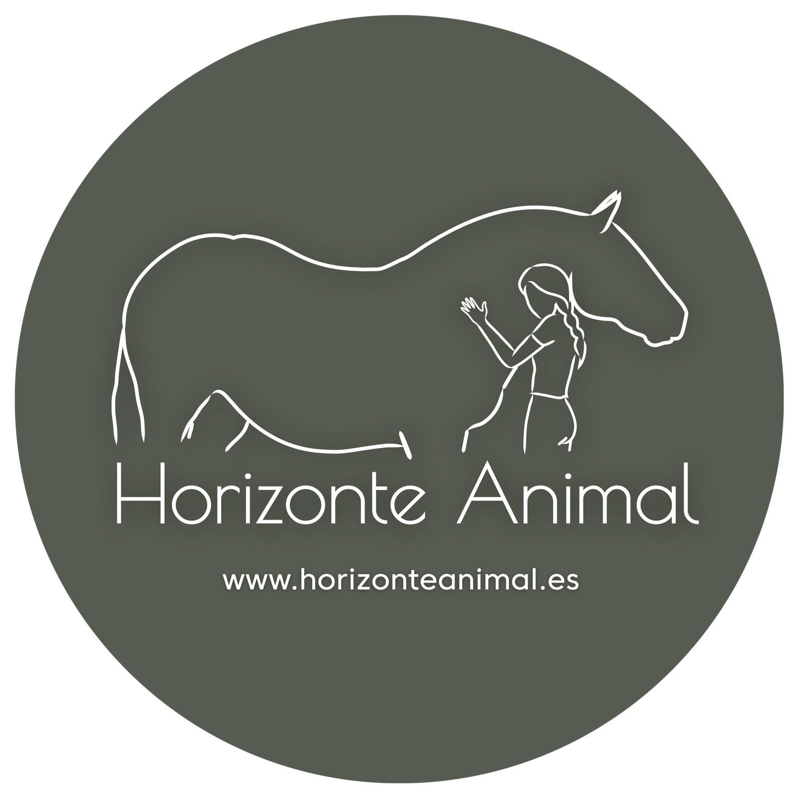 Стоимость фотосессии в студии и на улице. Fotógrafa en Madrid | Retratos femeninos, familia y sesiones con caballos – Anna Maruleva