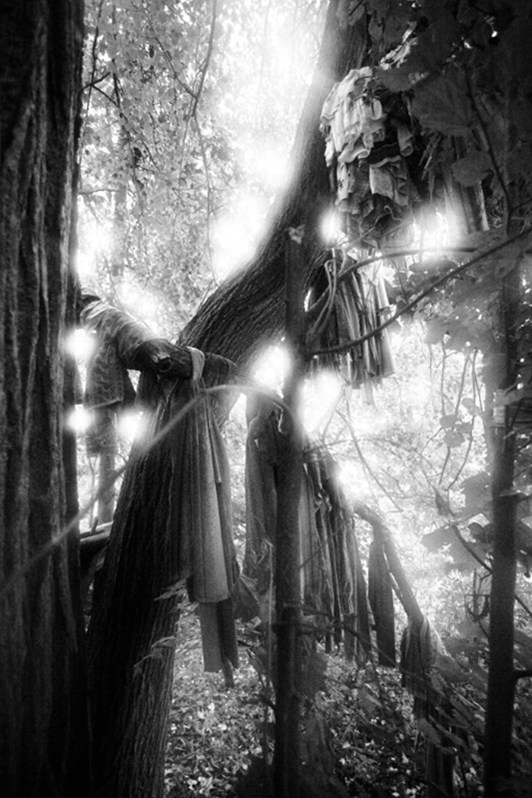 © Ирина Чмырёва / Гуси-лебеди. «Мари» и другие истории Татьяны Плотниковой