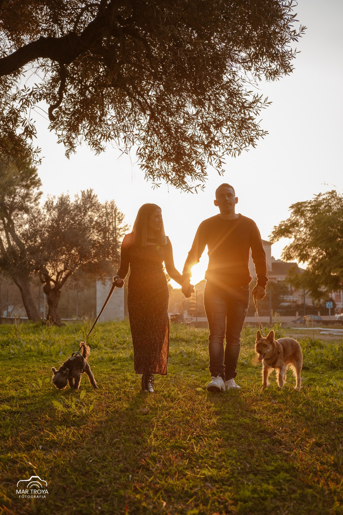 Fotografía de mascotas. Fotos con huella, fotografía de perros y mascotas en Sevilla