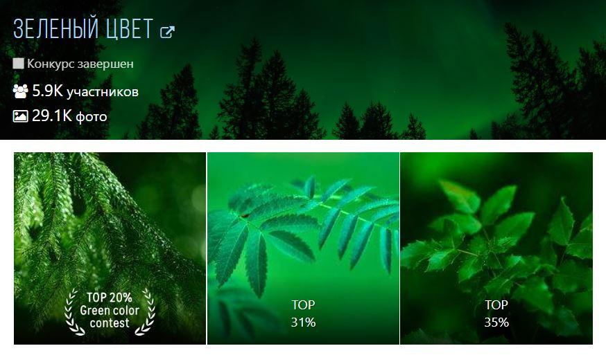 Зеленый Цвет — Top 20% Contest, 35 Awards. Профессиональный Фотограф Халемонец Андрей в Кривой Рог Днепр Украина