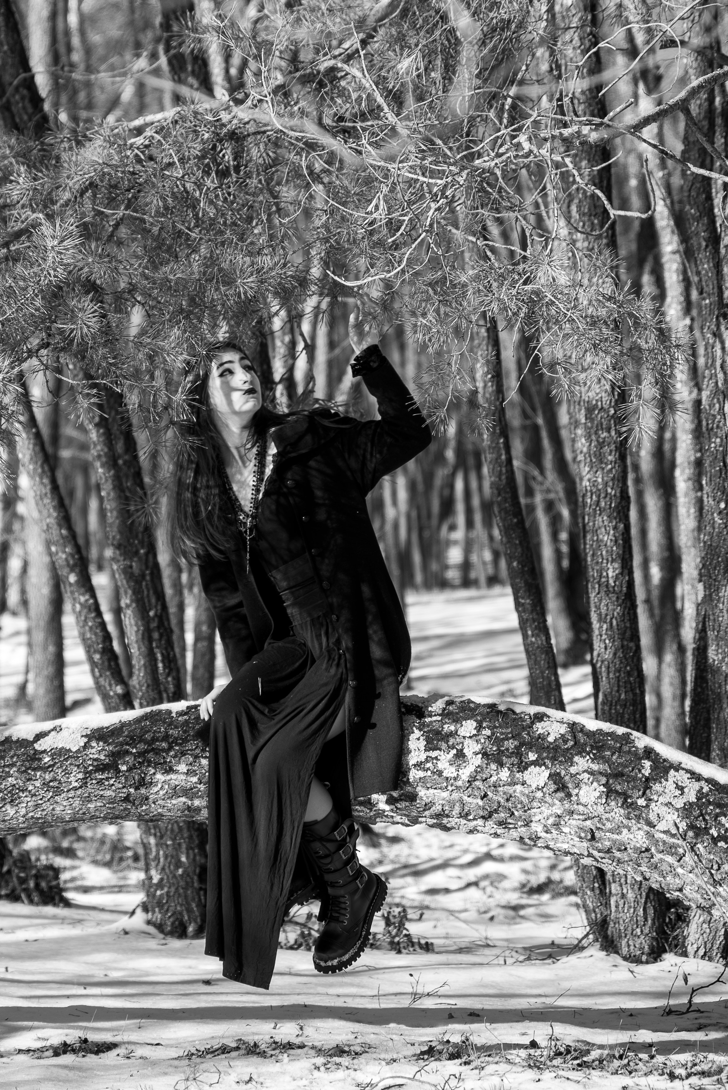 Prizonieră la castel. Daniel Hașiegan