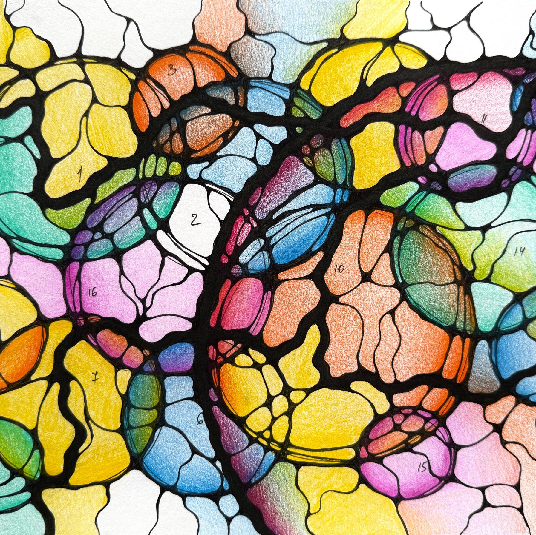 Kaj je NevroGrafika. Numerologija. Nevrografika. Delavnice