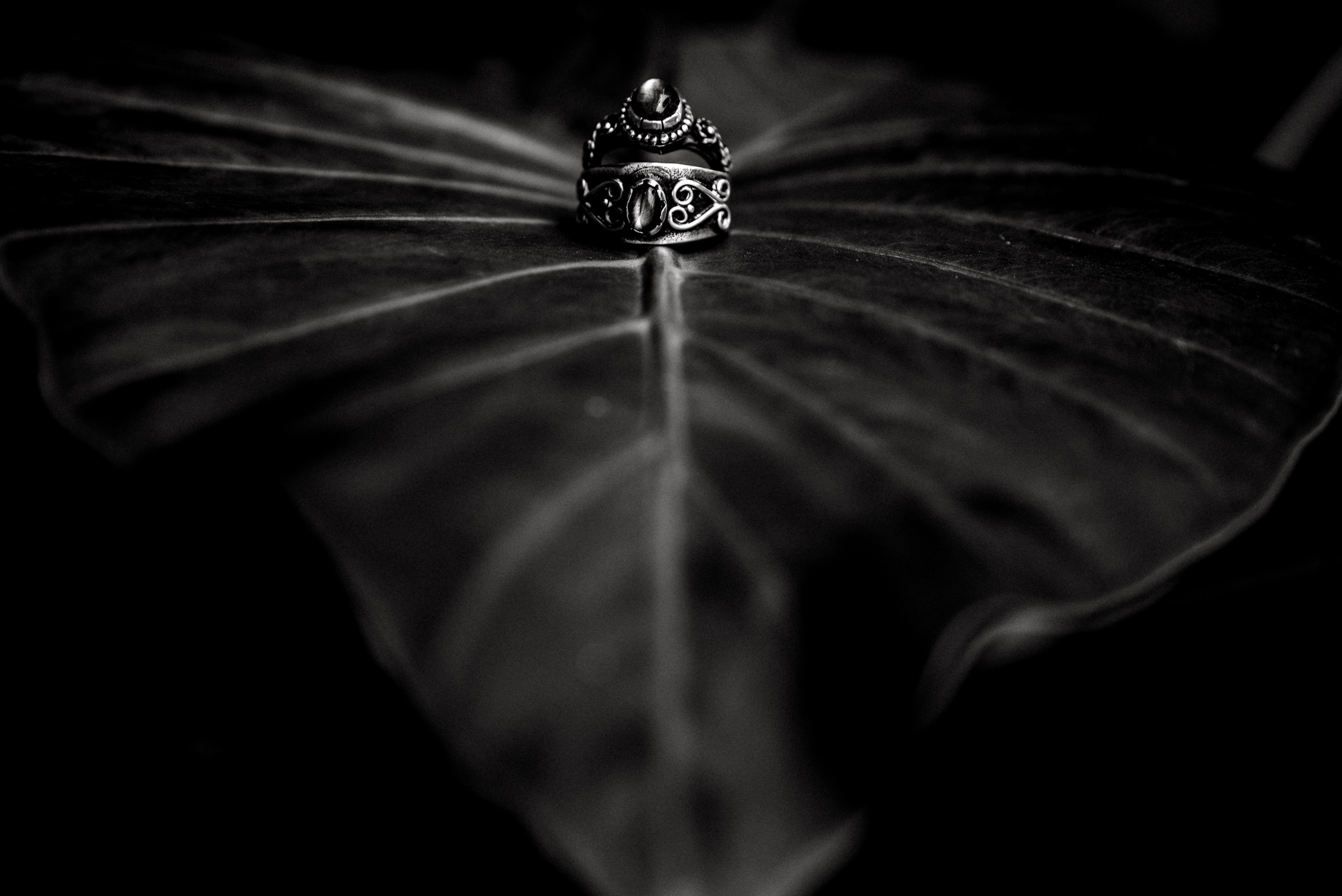 Fotografo Profesional