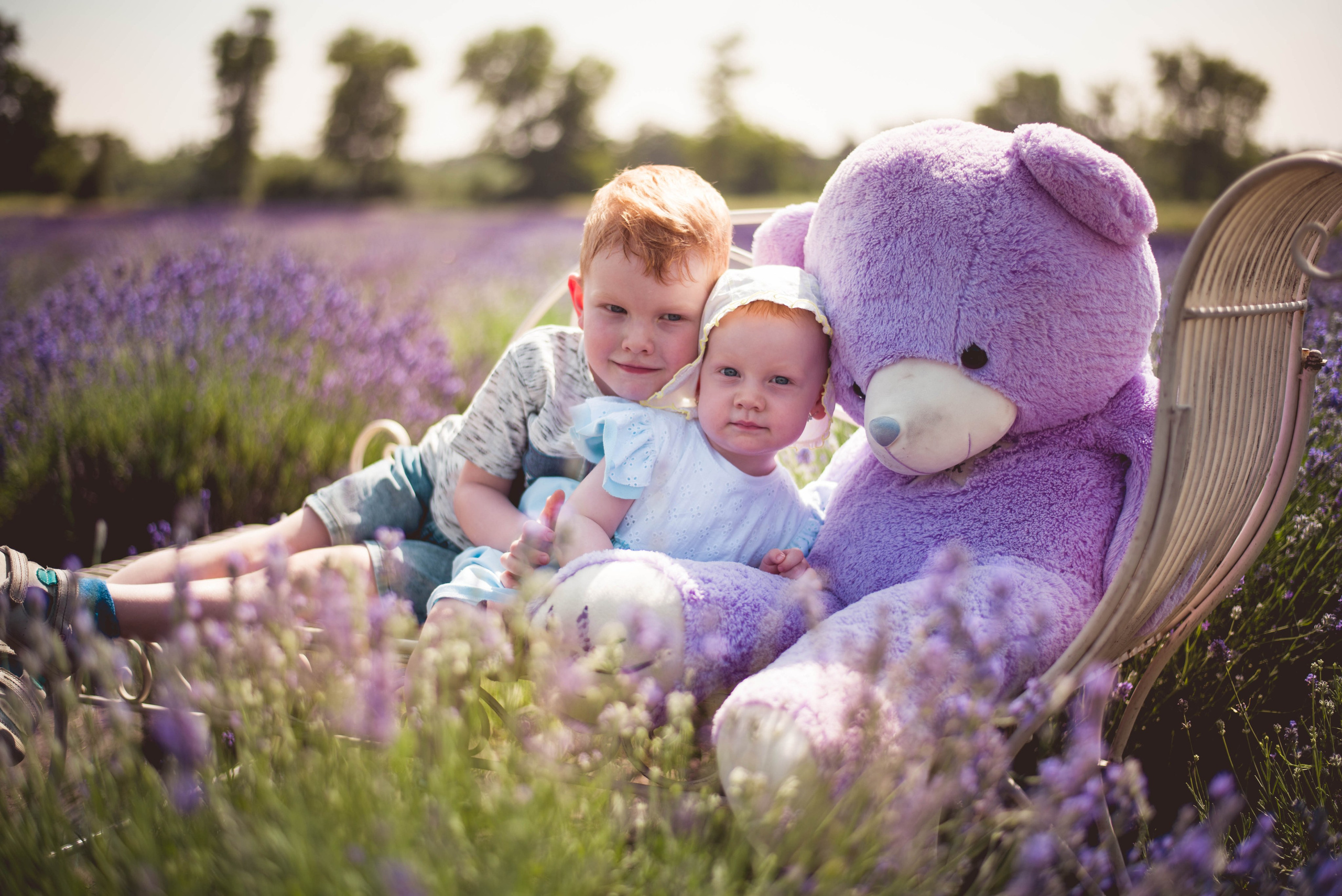 💜 Fotenie v levanduliach 🟢 Rezervácia termínov. Rodinná a svadobná fotografka v Bratislave | Prezrite si portfólio