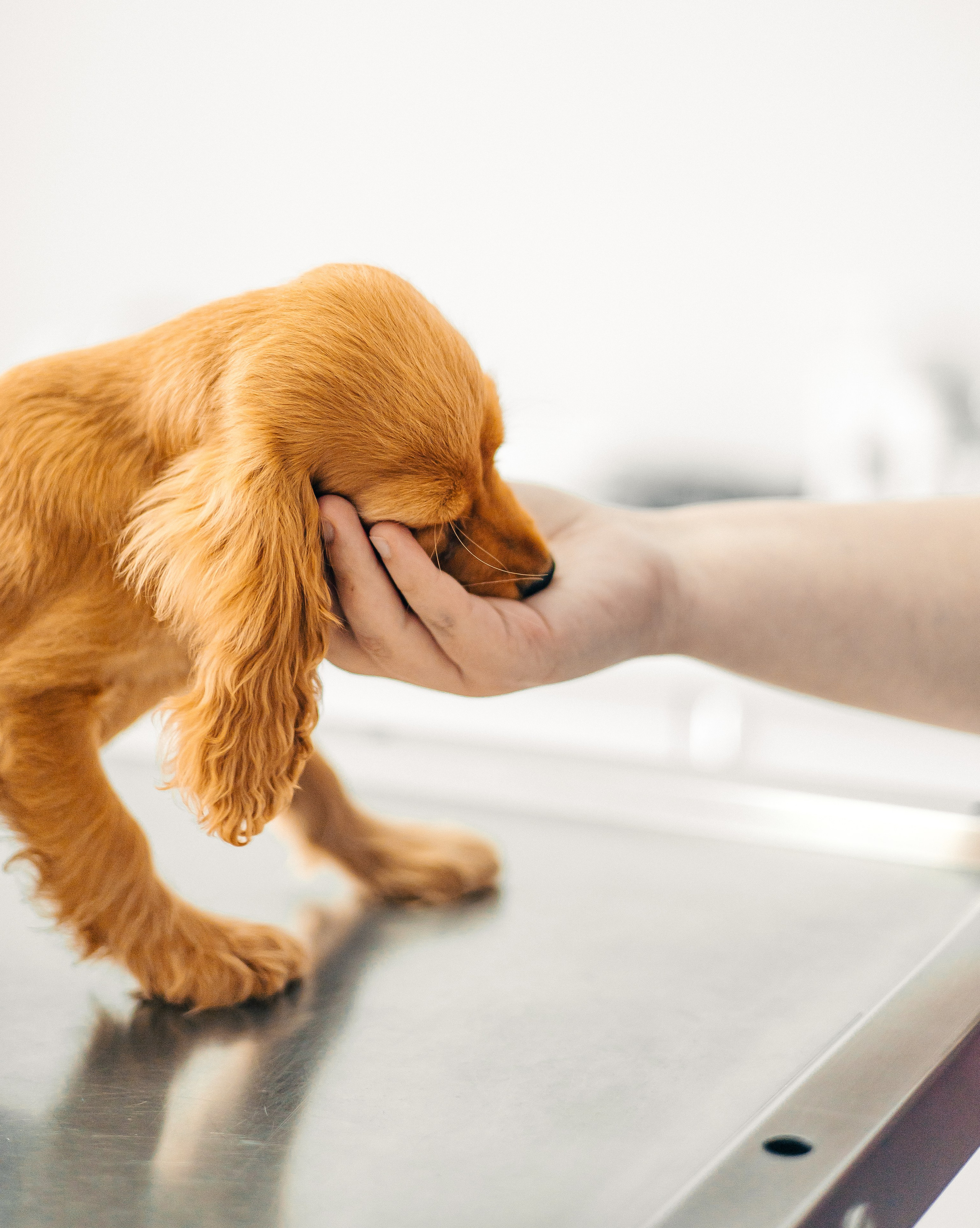 Portrait & Lifestyle Photography by Otinov | Authentic & Artistic Visuals