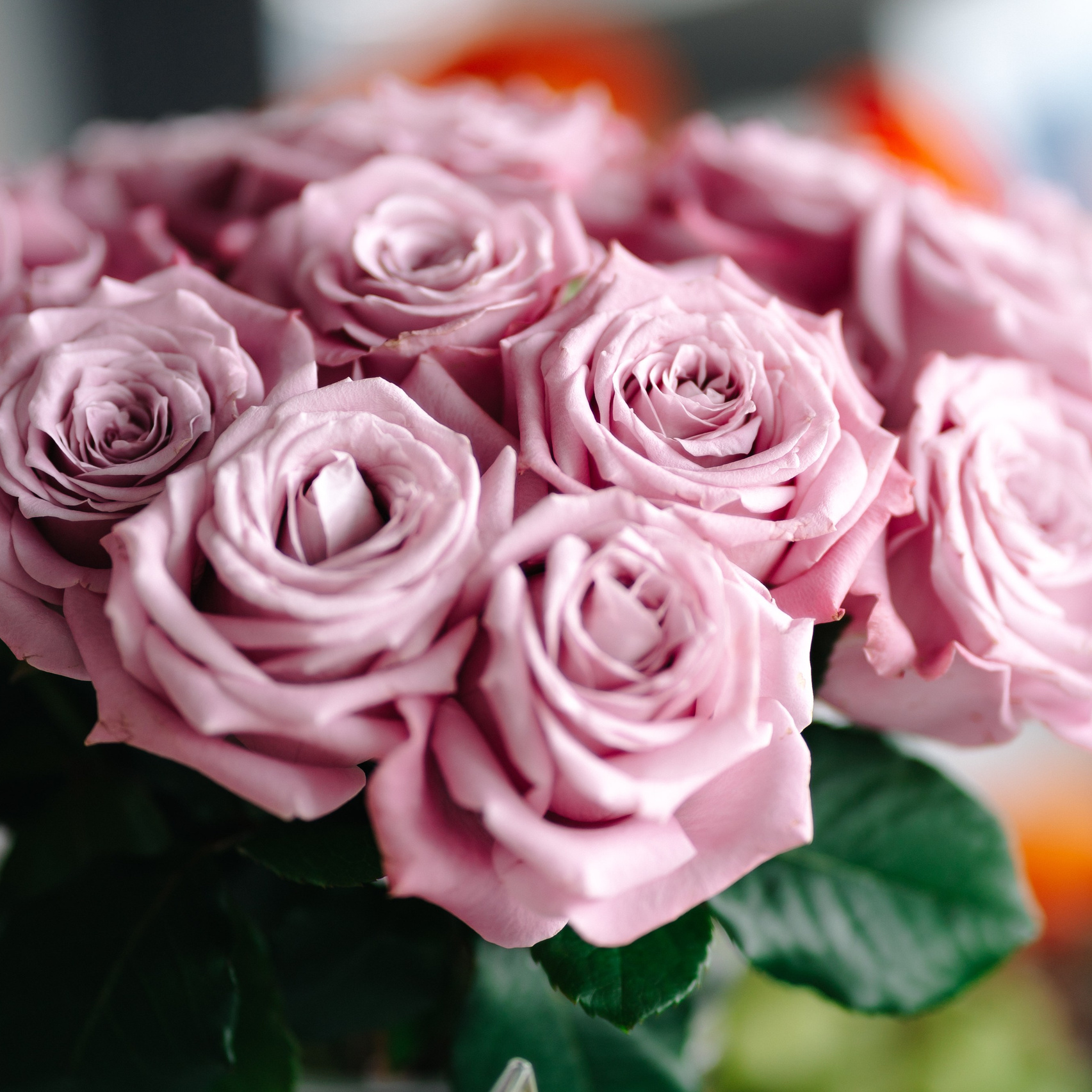 Emotional Preparation for Portrait Sessions | Burnaby Photographer