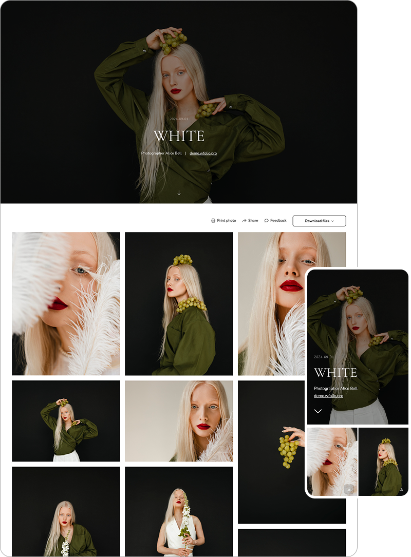 Free client galleries plan for photohraphers