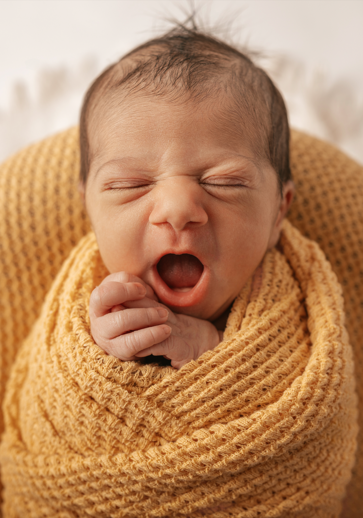 Usluge. Dječiji i porodični fotograf Crna Gora — Elena Bjelobrković Photography