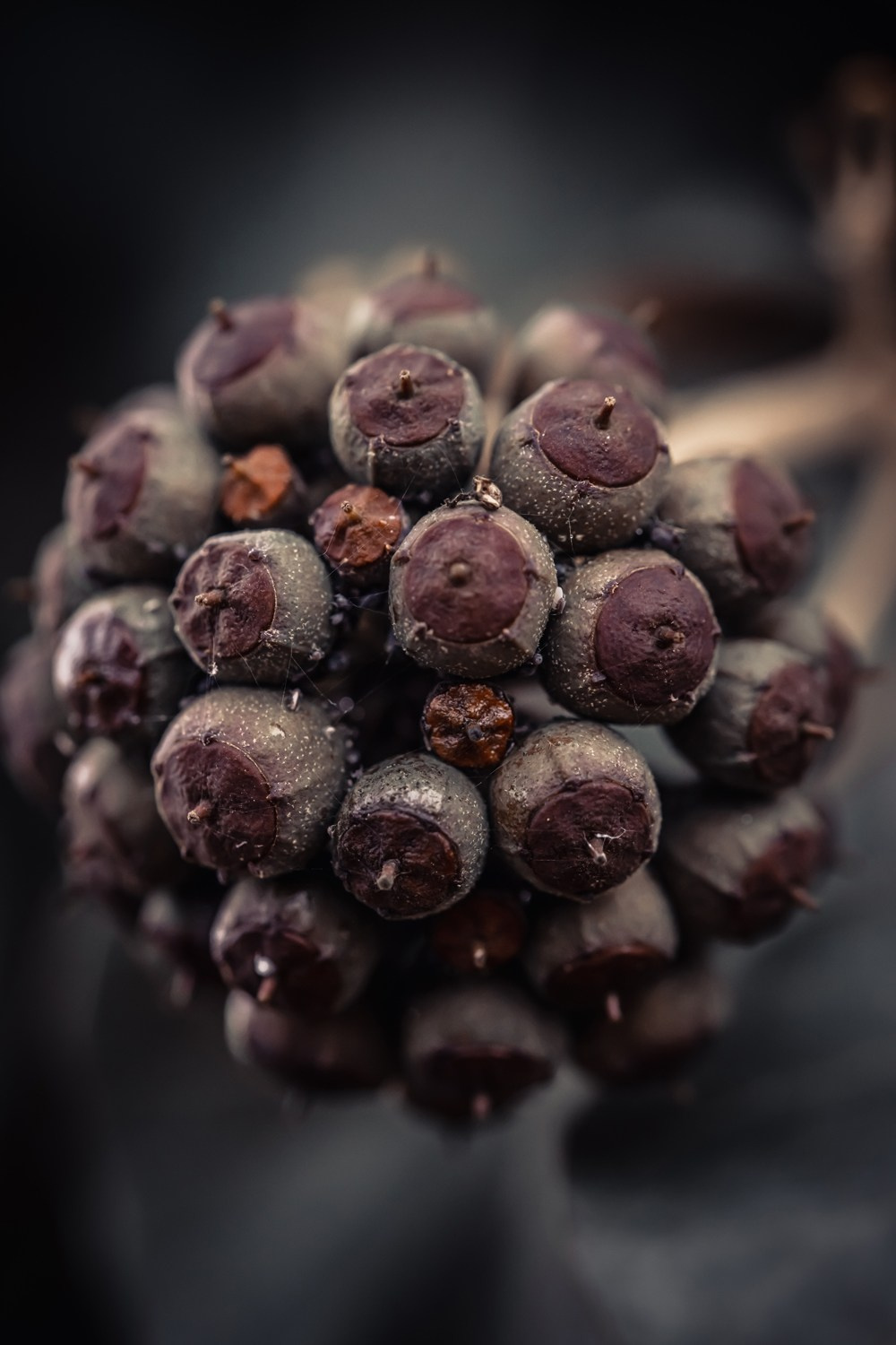 Blog_objektive. Vitali Beidel - Stuttgart Visual artist und Fotograf