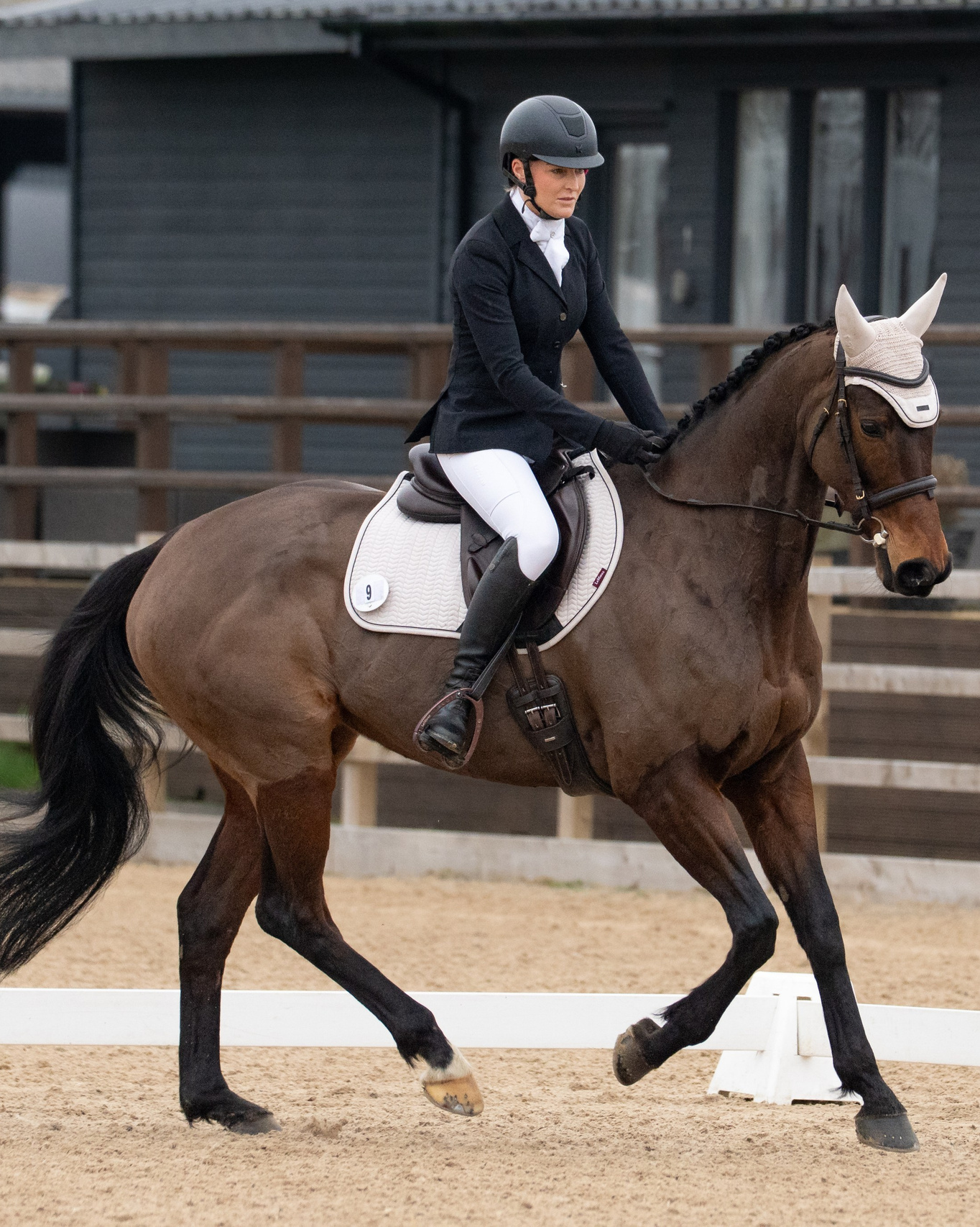 Young rider leading horse in smart equestrian attire before a show