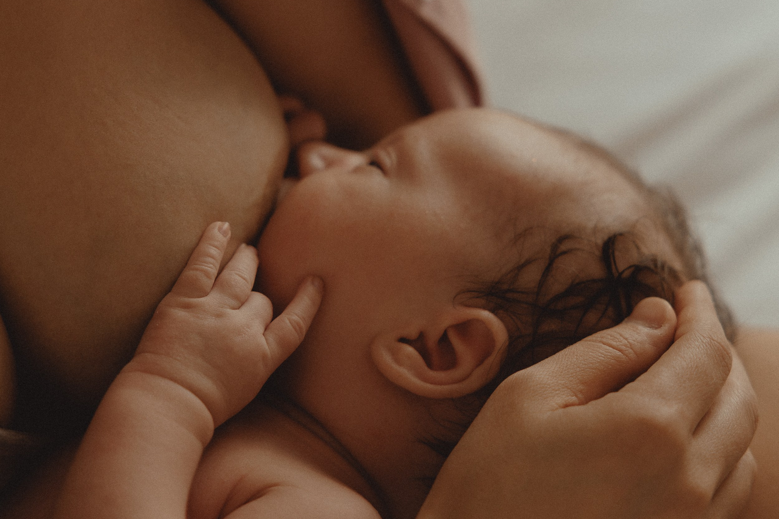 Pricing guide. Anna Gabitova — Family, Maternity, Lifestyle Photographer in Montreal