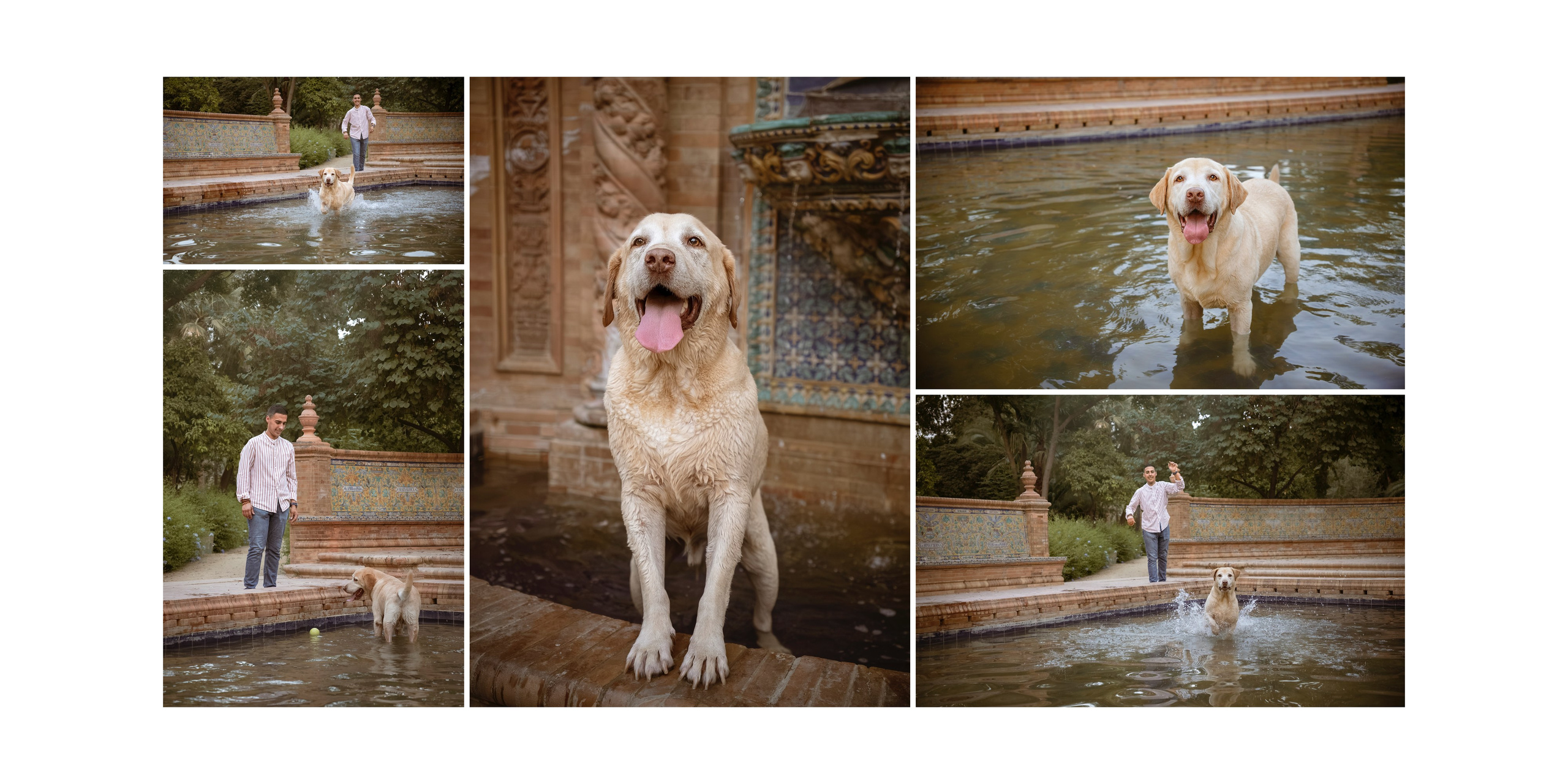 Manuel&Jero. Fotos con huella, fotografía de perros y mascotas en Sevilla