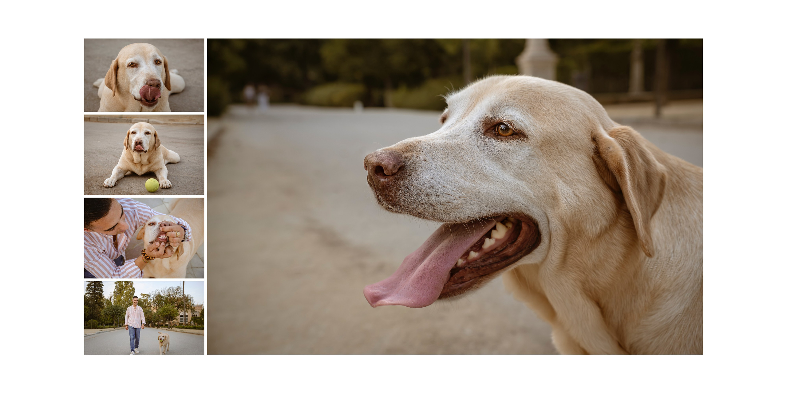 Manuel&Jero. Fotos con huella, fotografía de perros y mascotas en Sevilla