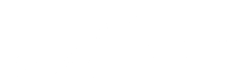 david-shafirov.wfolio.pro