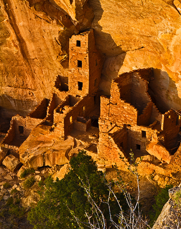 Программа. Alex Mironyuk Photography